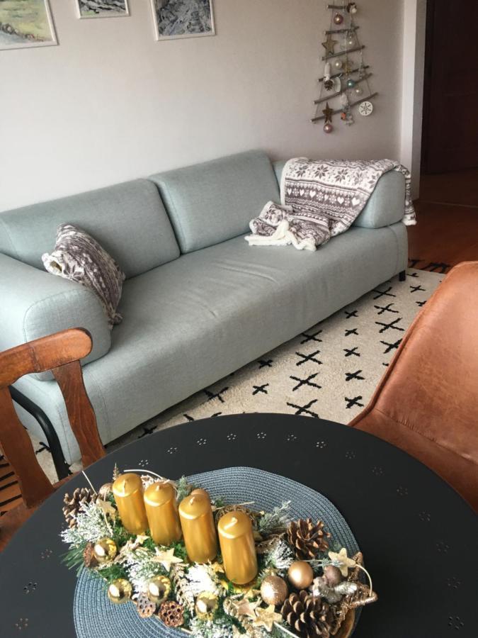 ヴェルカー・ロムニツァTatraview Houseアパートメント エクステリア 写真