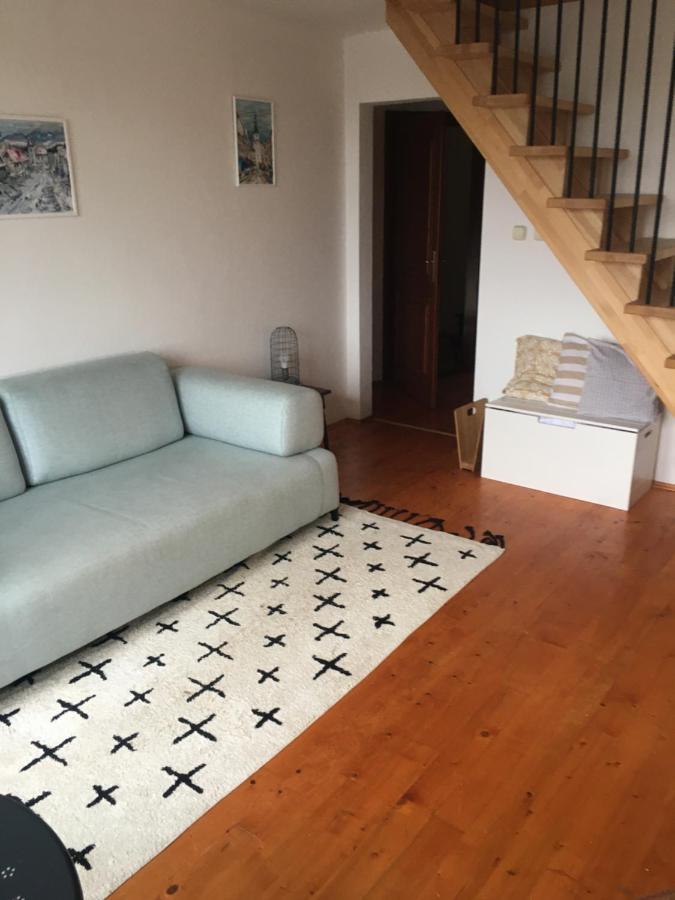 ヴェルカー・ロムニツァTatraview Houseアパートメント エクステリア 写真
